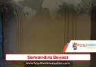 Samandıra Boyacı