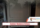 Adalar Badana Ustası