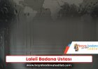 Laleli Badana Ustası