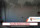 Pendik Badana Ustası