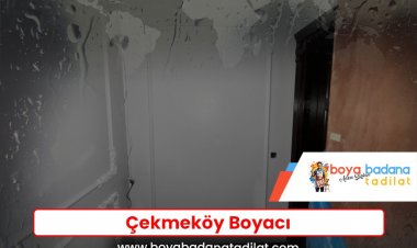 Çekmeköy Boyacı