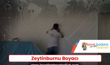 Zeytinburnu Boyacı