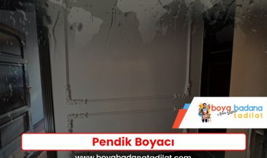 Pendik Boyacı