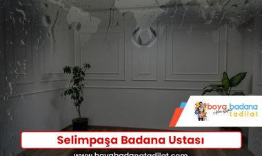Selimpaşa Badana Ustası