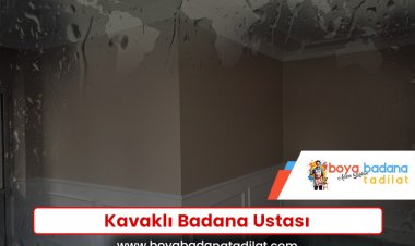 Kavaklı Badana Ustası