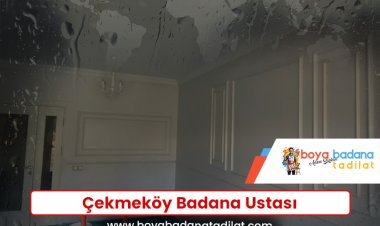 Çekmeköy Badana Ustası